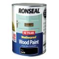 Ronseal 10 Year Weatherproof Wood Paint Black